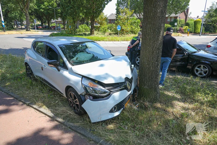 Automobilist botst tegen boom