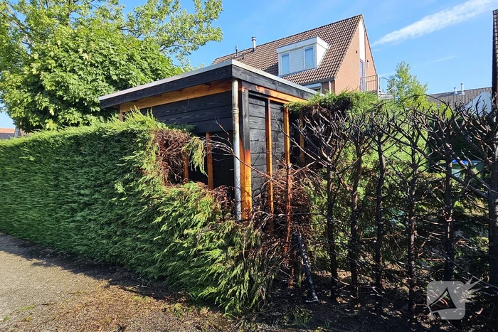 Brandende coniferenhaag snel geblust