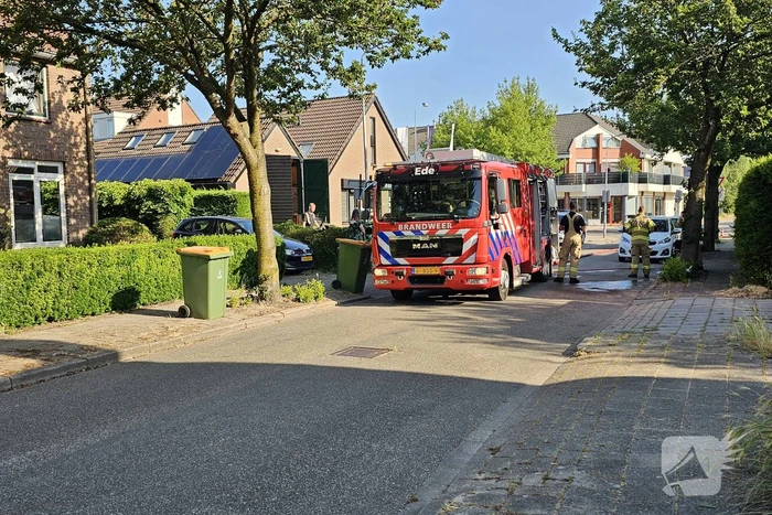 Brandende coniferenhaag snel geblust
