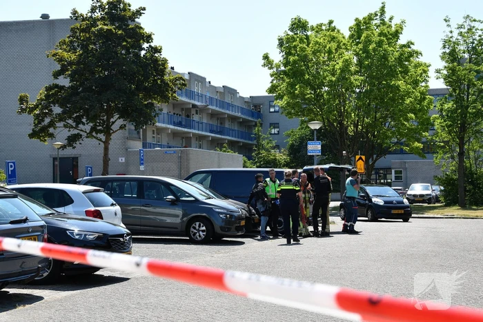 Arrestatieteam ingezet voor verward persoon