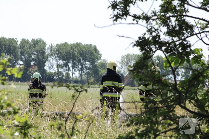 File door brand in berm
