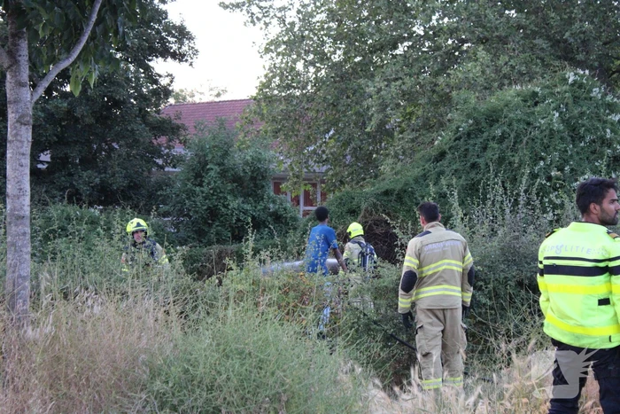 Brandende bosschages geblust
