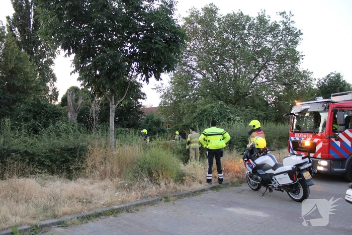 Brandende bosschages geblust