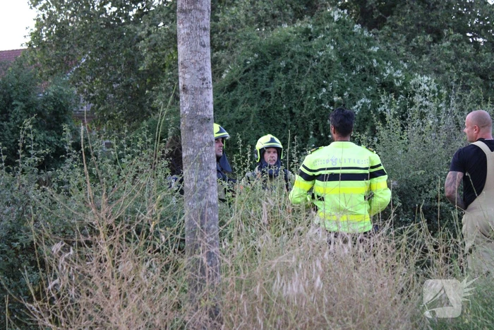 Brandende bosschages geblust