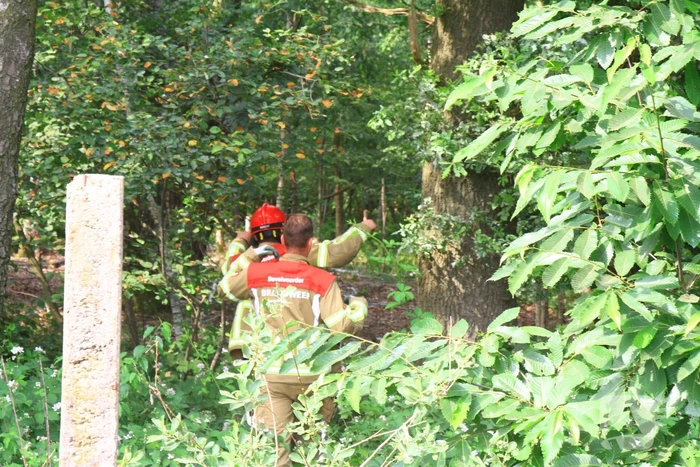 Treinverkeer stilgelegd vanwege natuurbrand