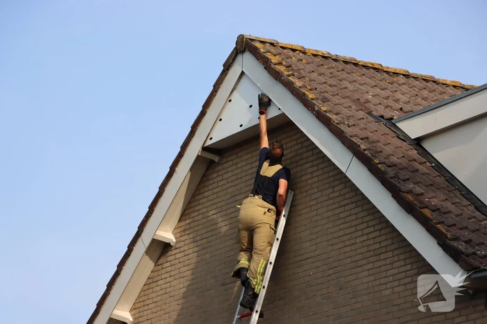 Brandweer bevrijdt vastzittende zwaluw