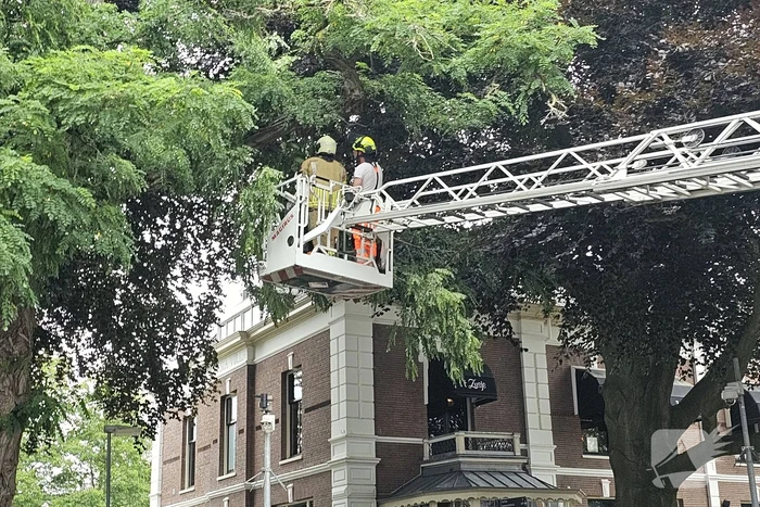 Winkelgebied deels afgesloten door gevaarlijk hangende tak