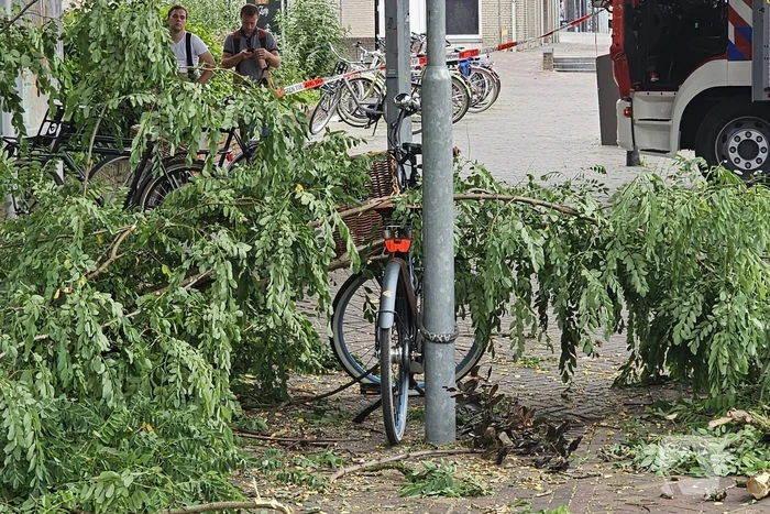 Winkelgebied deels afgesloten door gevaarlijk hangende tak