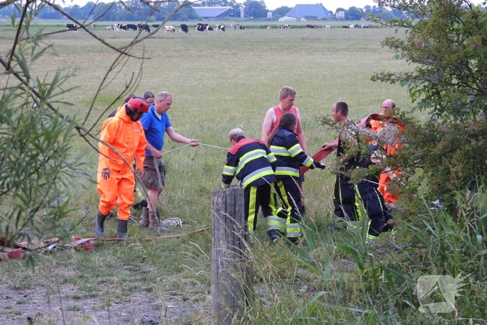 Brandweer ingezet voor paard in een sloot