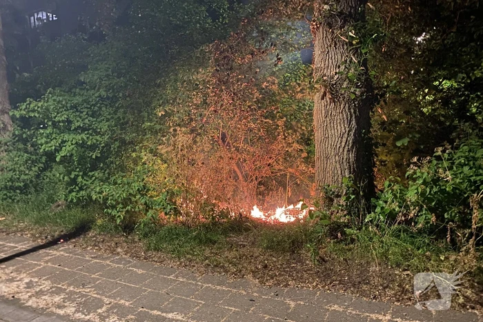 brand dammelaan leeuwarden
