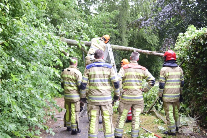 Brandweer ingezet voor omgevallen boom