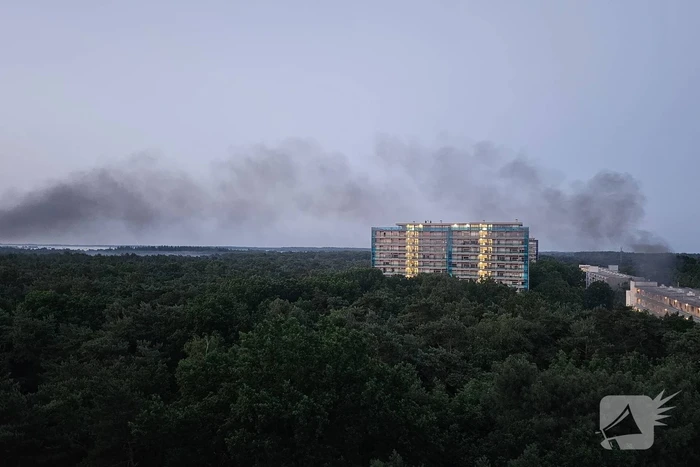 Personenauto door brand verwoest