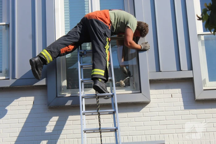 Brandweer ingezet voor vastzittende duif