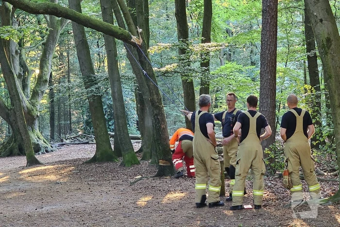 Half omgevallen boom omgezaagd door brandweer