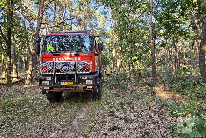 Opnieuw brand in bosgebied