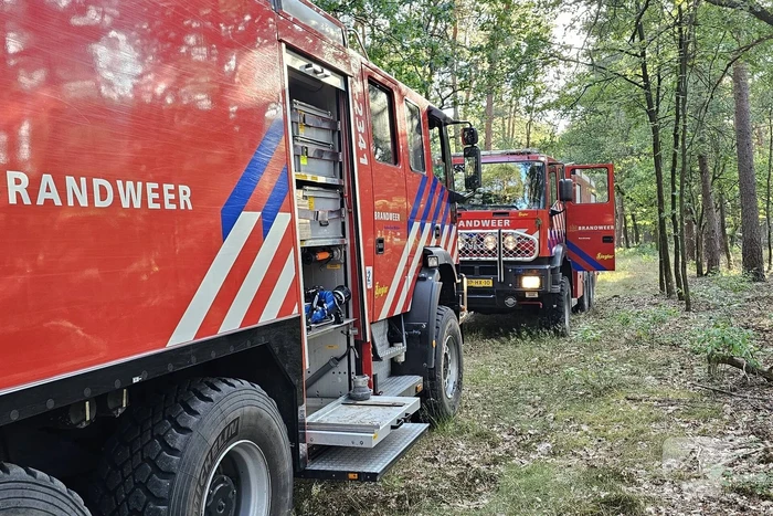 Opnieuw brand in bosgebied