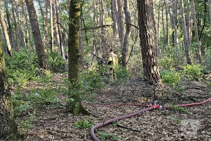 Opnieuw brand in bosgebied