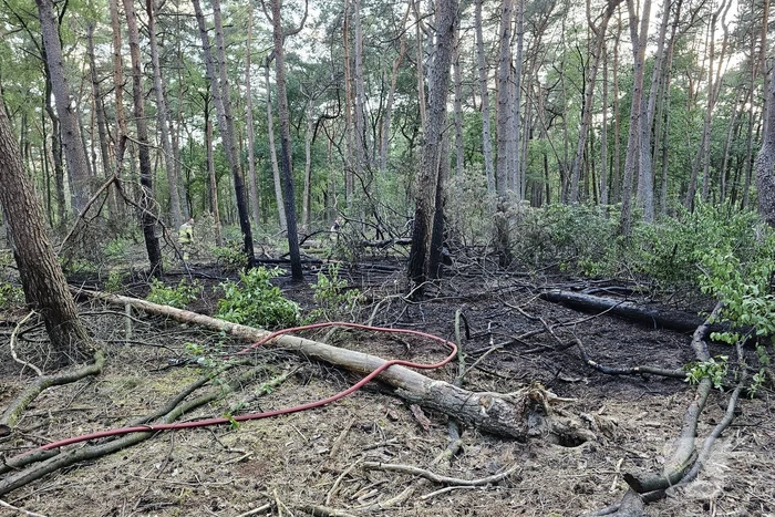 Opnieuw brand in bosgebied