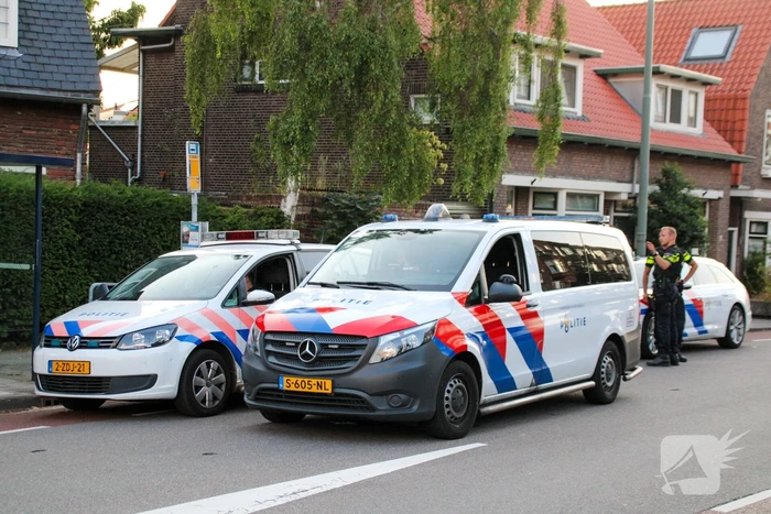 nieuws penninglaan schiedam