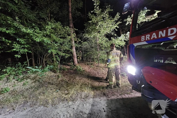 Brandweer heeft bosbrand snel onder controle