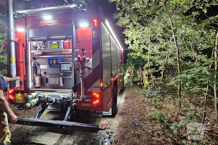 Brandweer heeft bosbrand snel onder controle