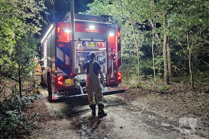 Brandweer heeft bosbrand snel onder controle