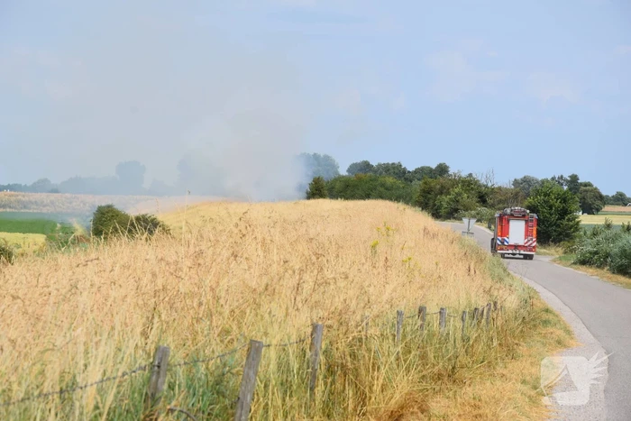 Flinke rook bij brand in berm