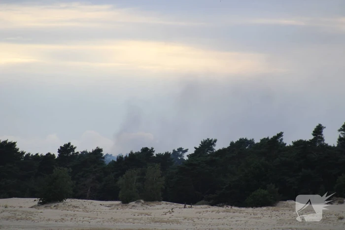 Meters bos in brand