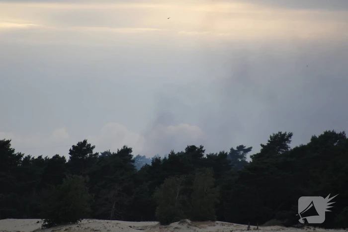 Meters bos in brand