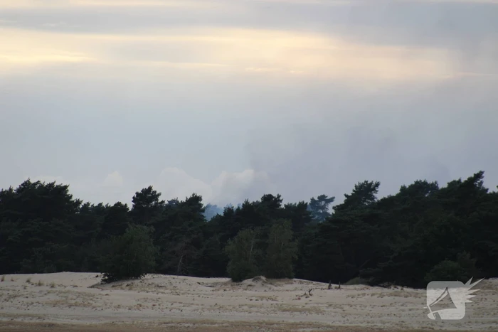 Meters bos in brand