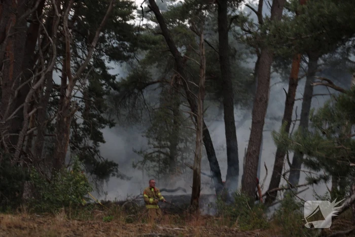 Meters bos in brand