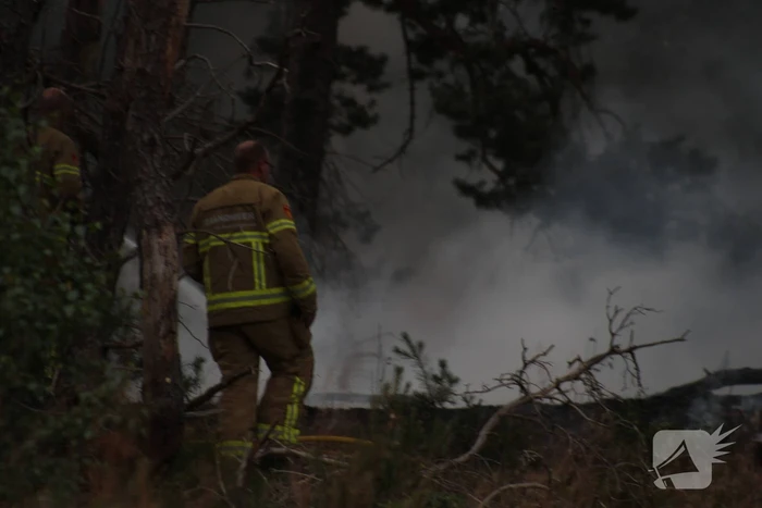Meters bos in brand