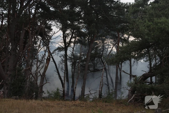 Meters bos in brand