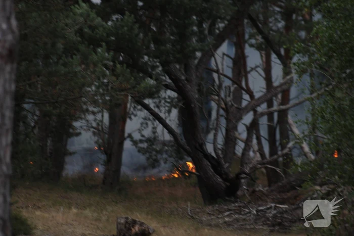 Meters bos in brand