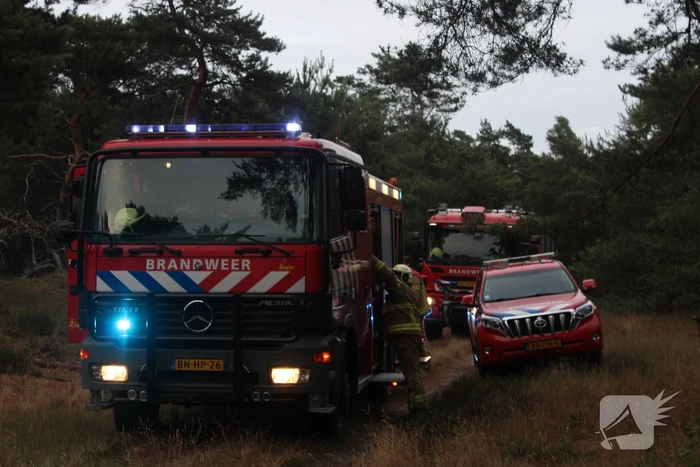 Meters bos in brand