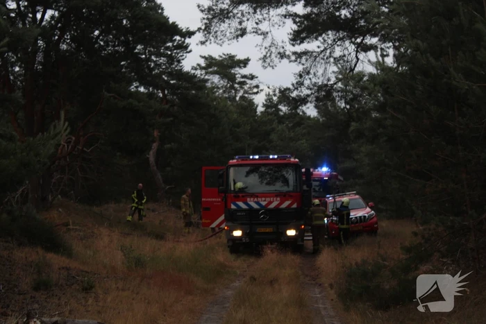 Meters bos in brand