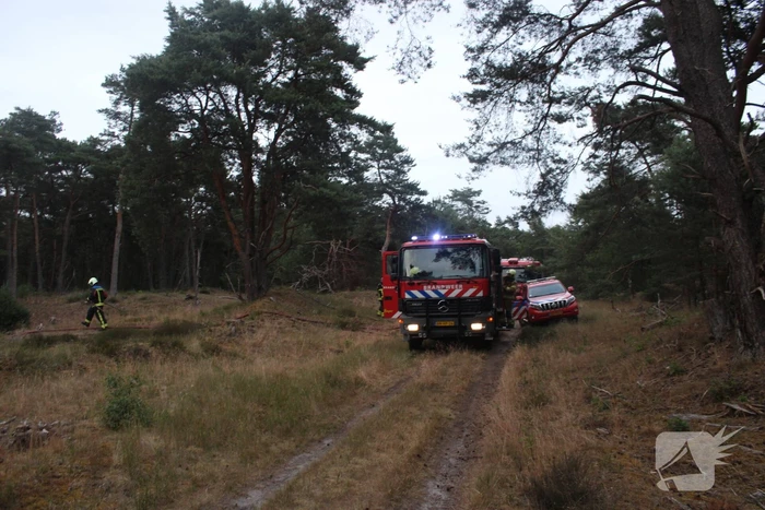Meters bos in brand