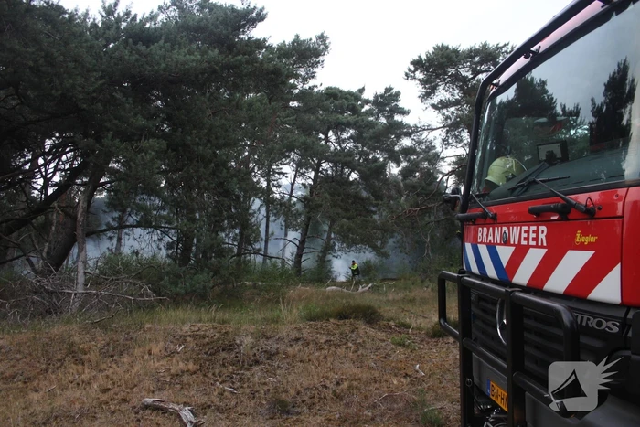 Meters bos in brand