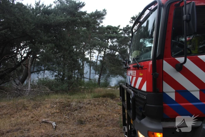 Meters bos in brand