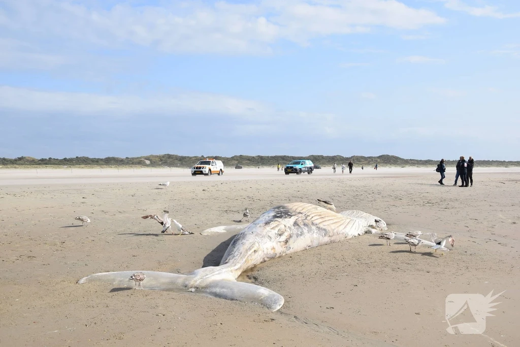 Oude Hoevepad Nieuws Burgh-Haamstede 