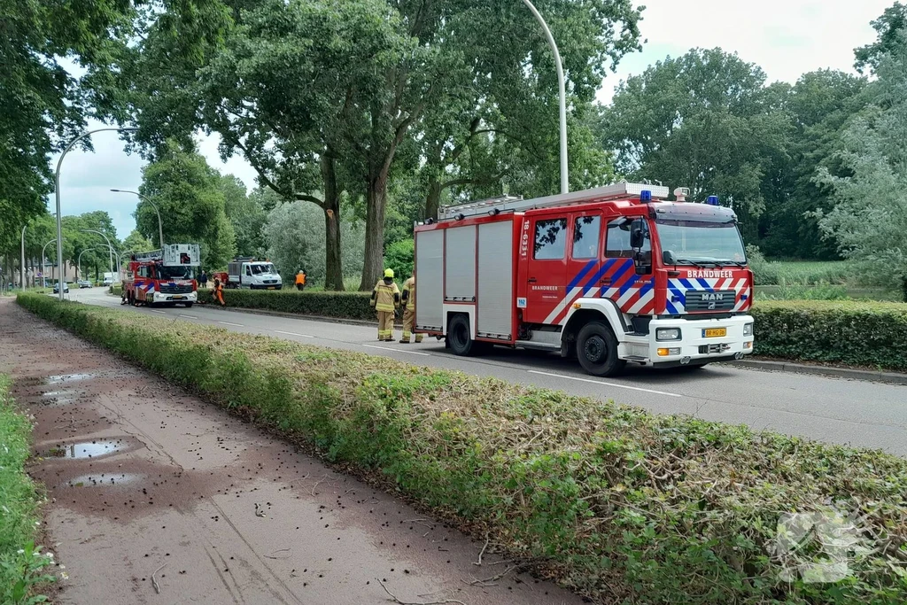 Zwijndrecht