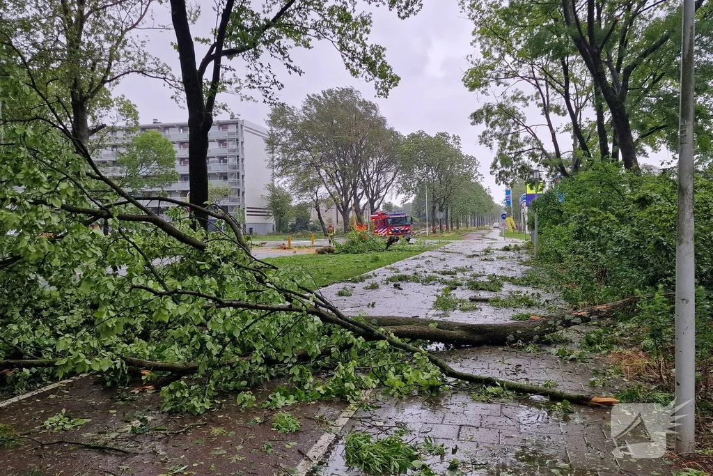Fortuinweg 112 nieuws Zaandijk 