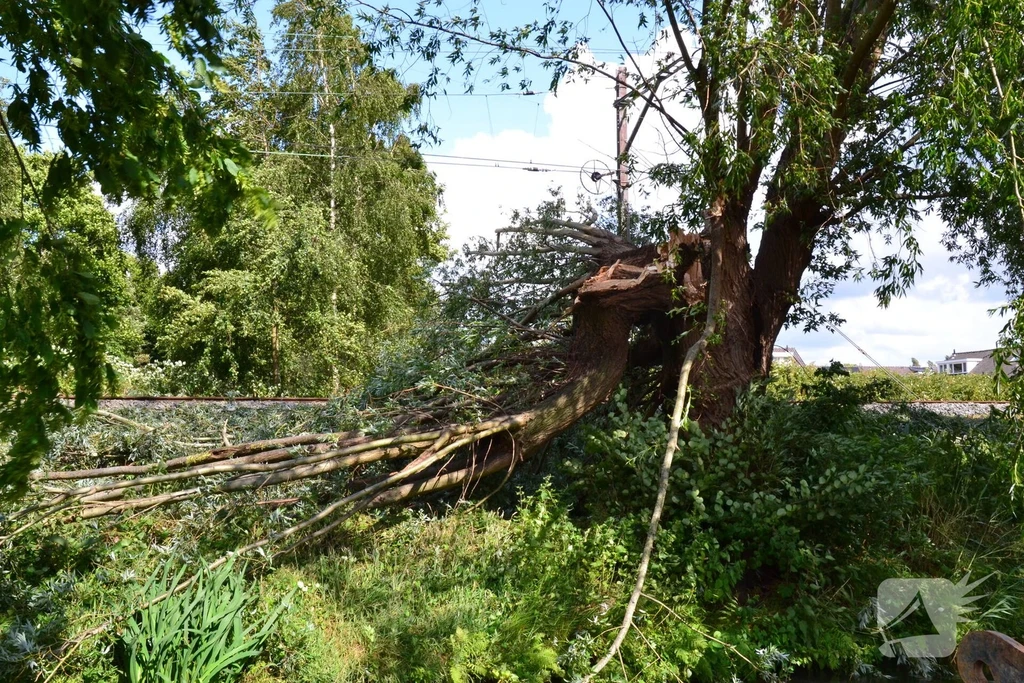 Groenezoom 112 nieuws Waddinxveen 