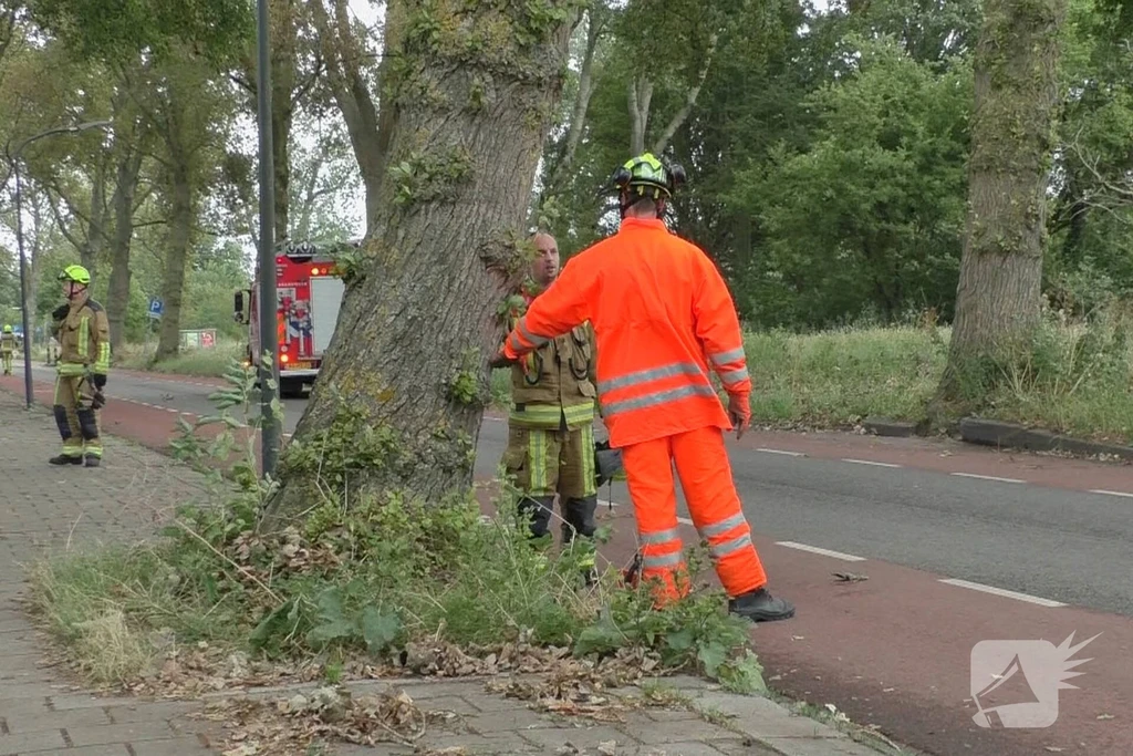Vergierdeweg Haarlem 112 