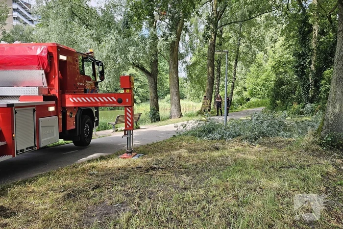 Brandweer ingezet voor afgebroken tak