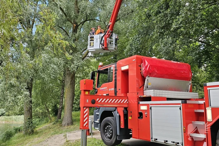Brandweer ingezet voor afgebroken tak