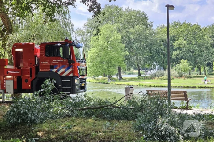 Brandweer ingezet voor afgebroken tak