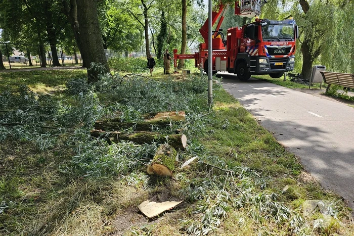 Brandweer ingezet voor afgebroken tak