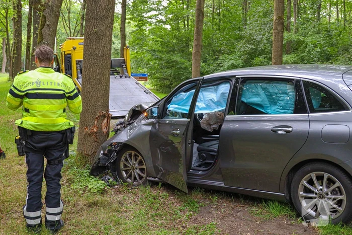 Automobilist komt tegen boom tot stilstand
