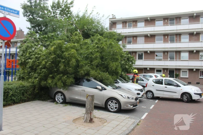 Grote tak valt op auto's